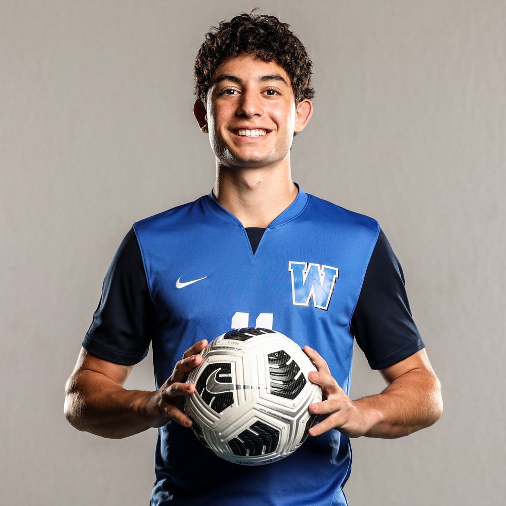 Leo Mahmoodzadegan mugshot