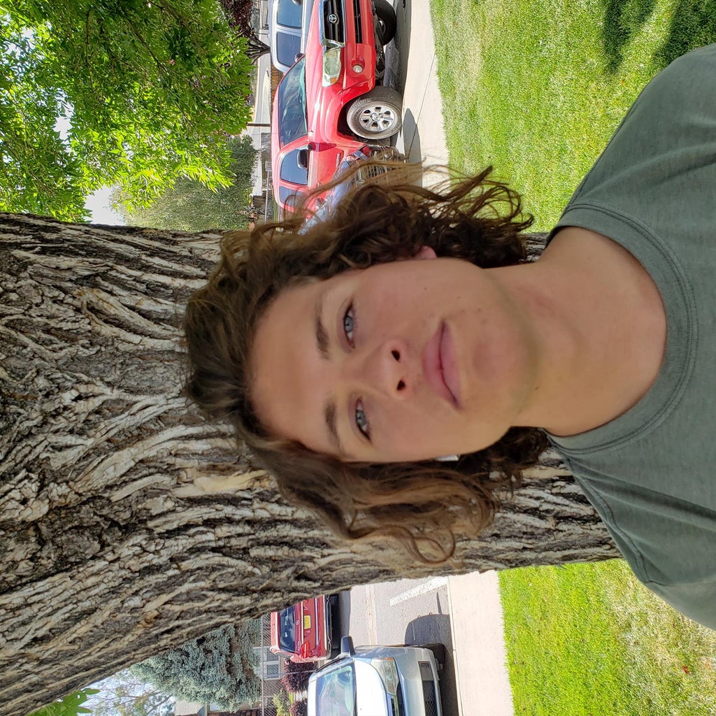 Orion Dees mugshot