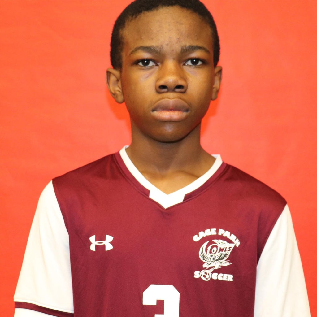 Toluwani Pelumi mugshot