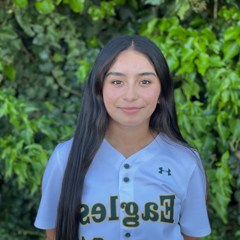Elisa Suarez mugshot