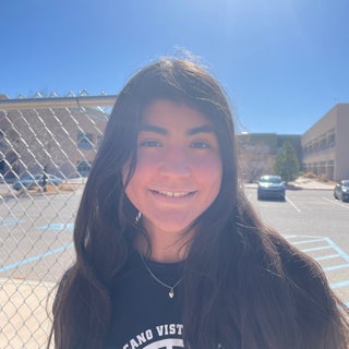 Mari  Manzanares mugshot
