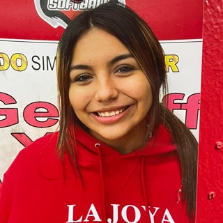 Mellinda Veloz mugshot