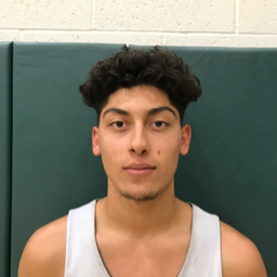 Frankie Alvarez mugshot