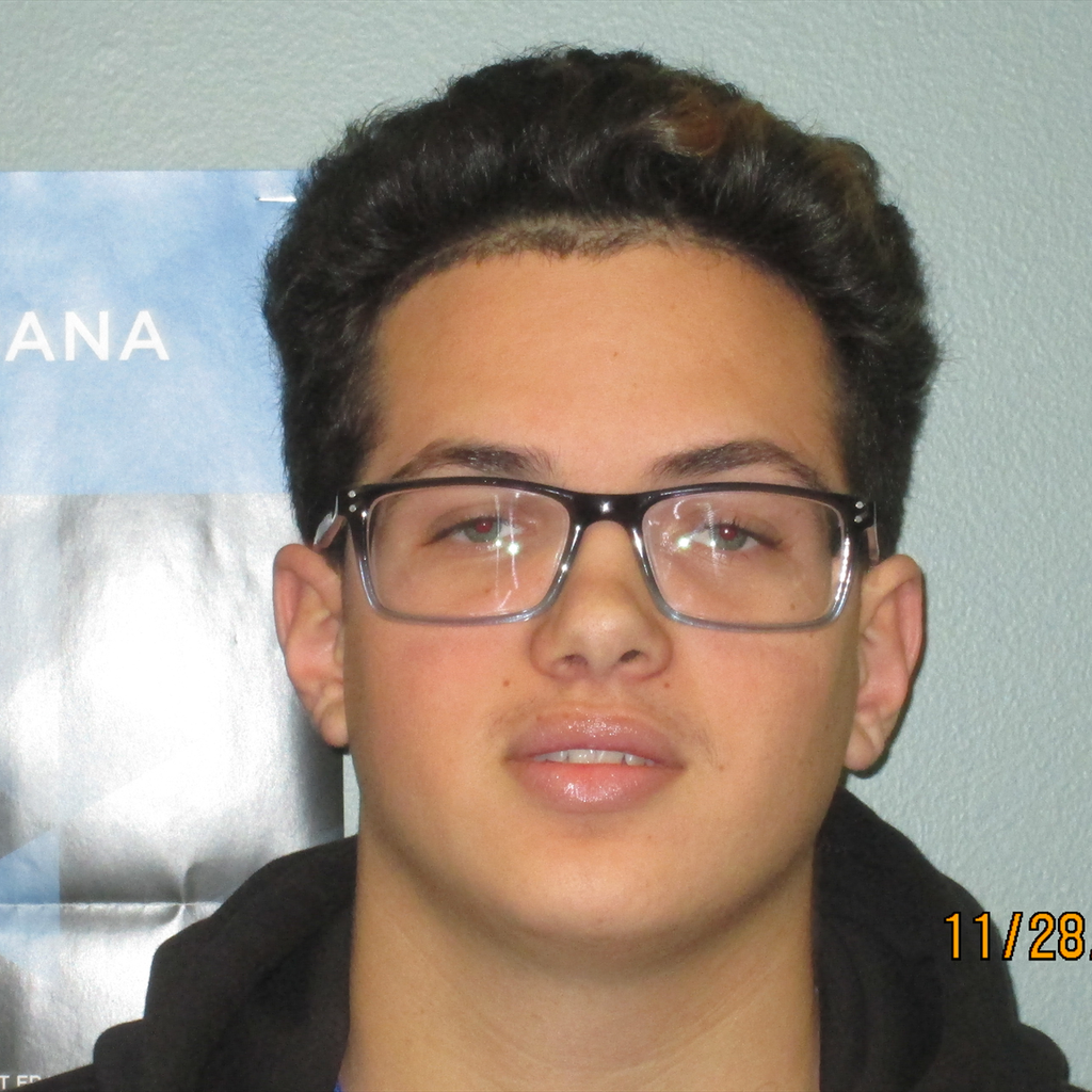 Evan Flynn mugshot