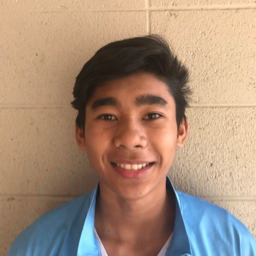 Jeroe Solon mugshot