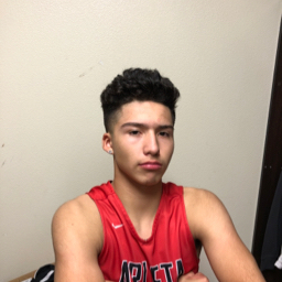 Michael Pina mugshot