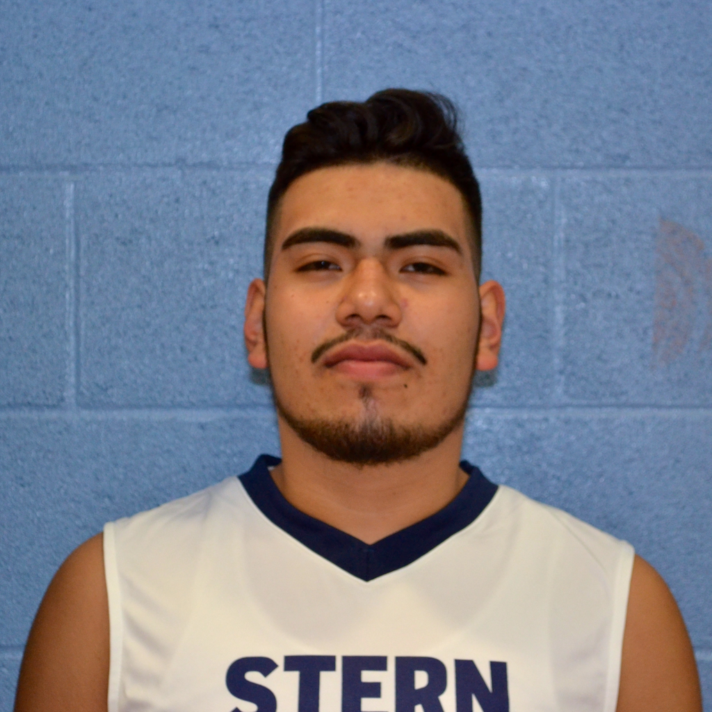 Junior Gomez mugshot
