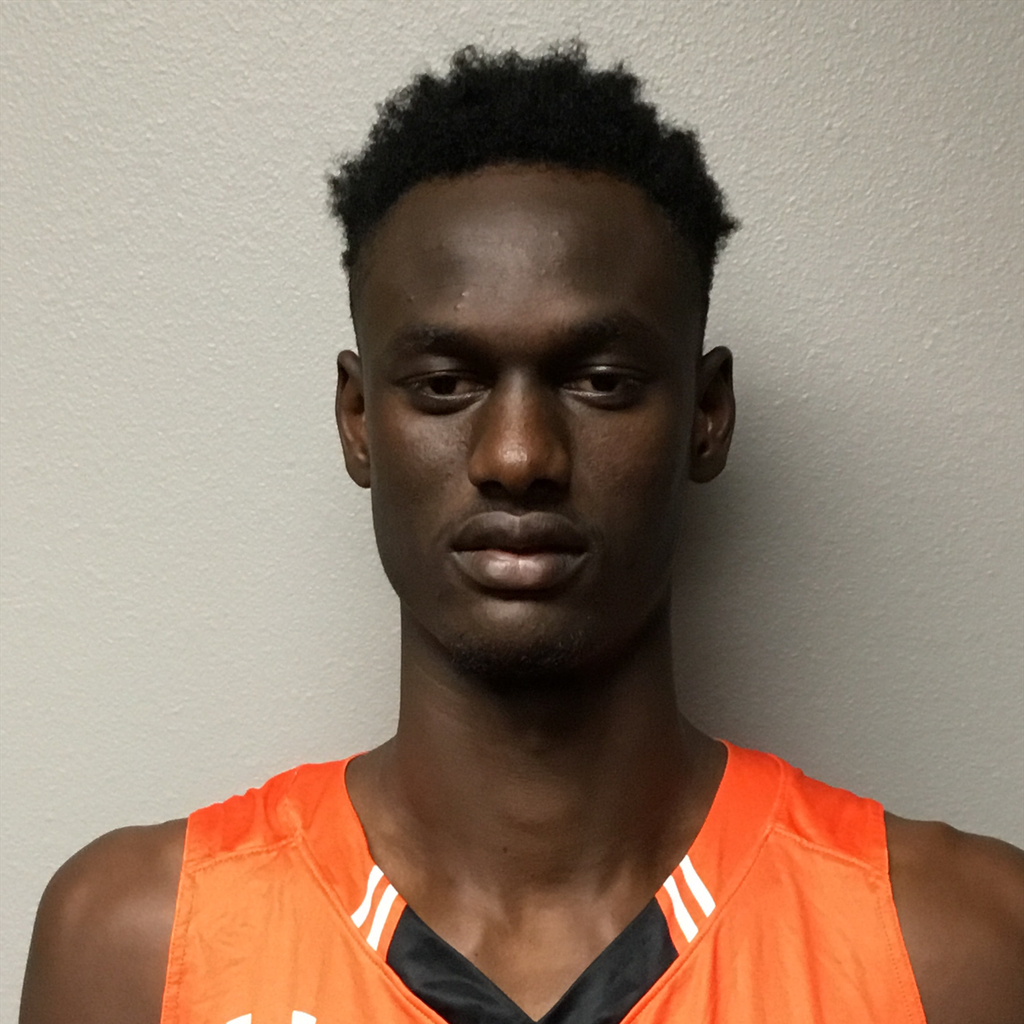 El Hadji Diallo mugshot