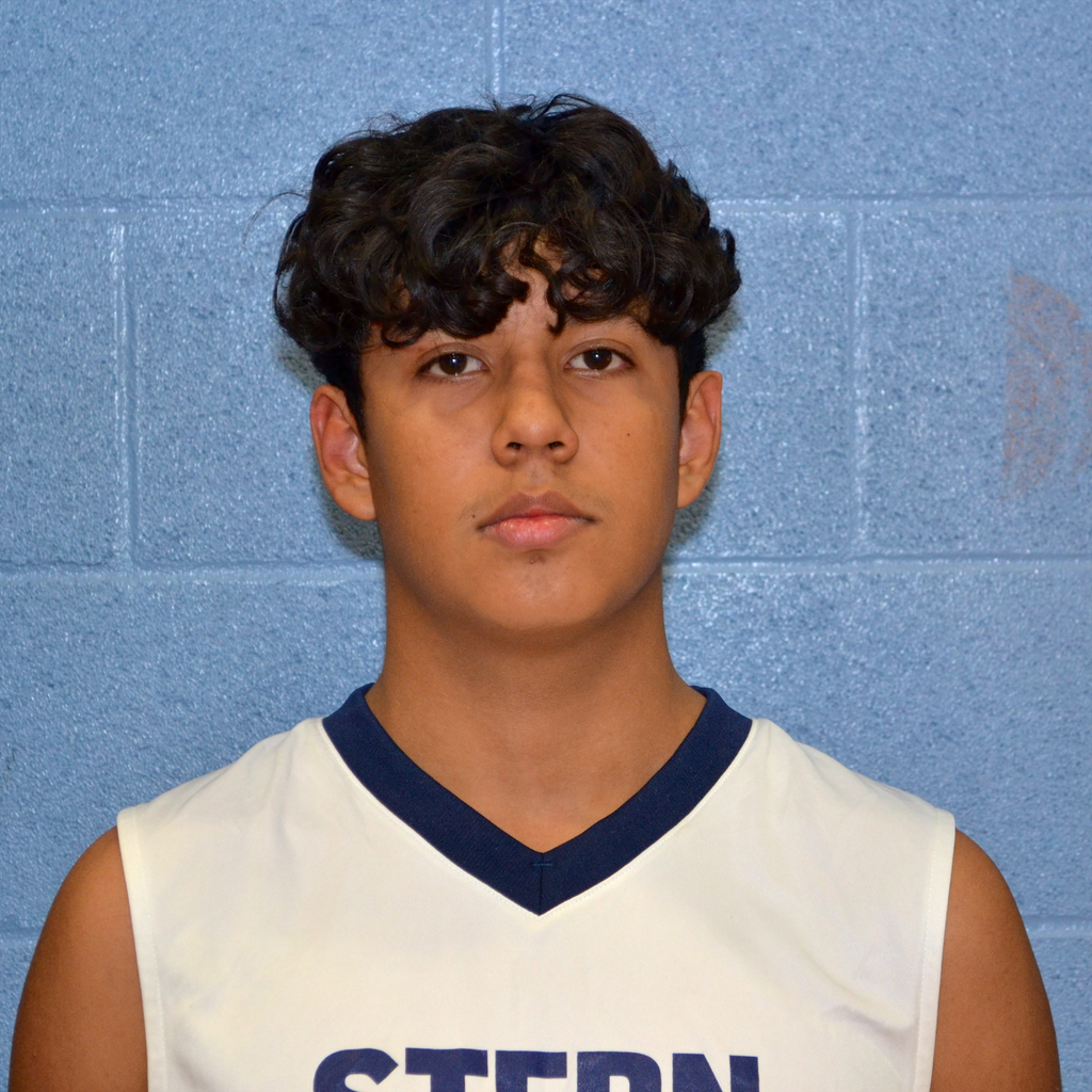 Andrik Alvarez mugshot
