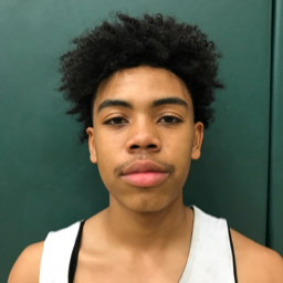 Gjerard Wilson mugshot