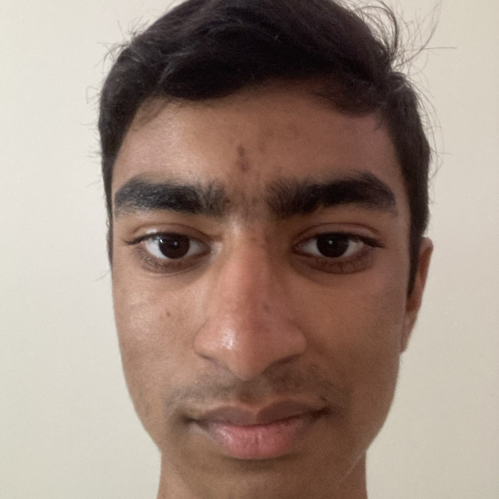 Vaibhav Sridhar mugshot