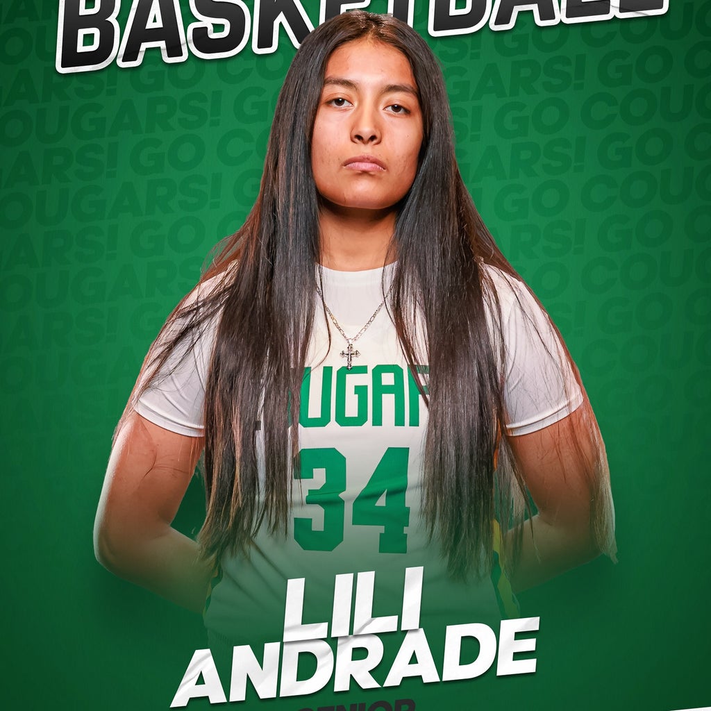 Lili Andrade-Tellez mugshot