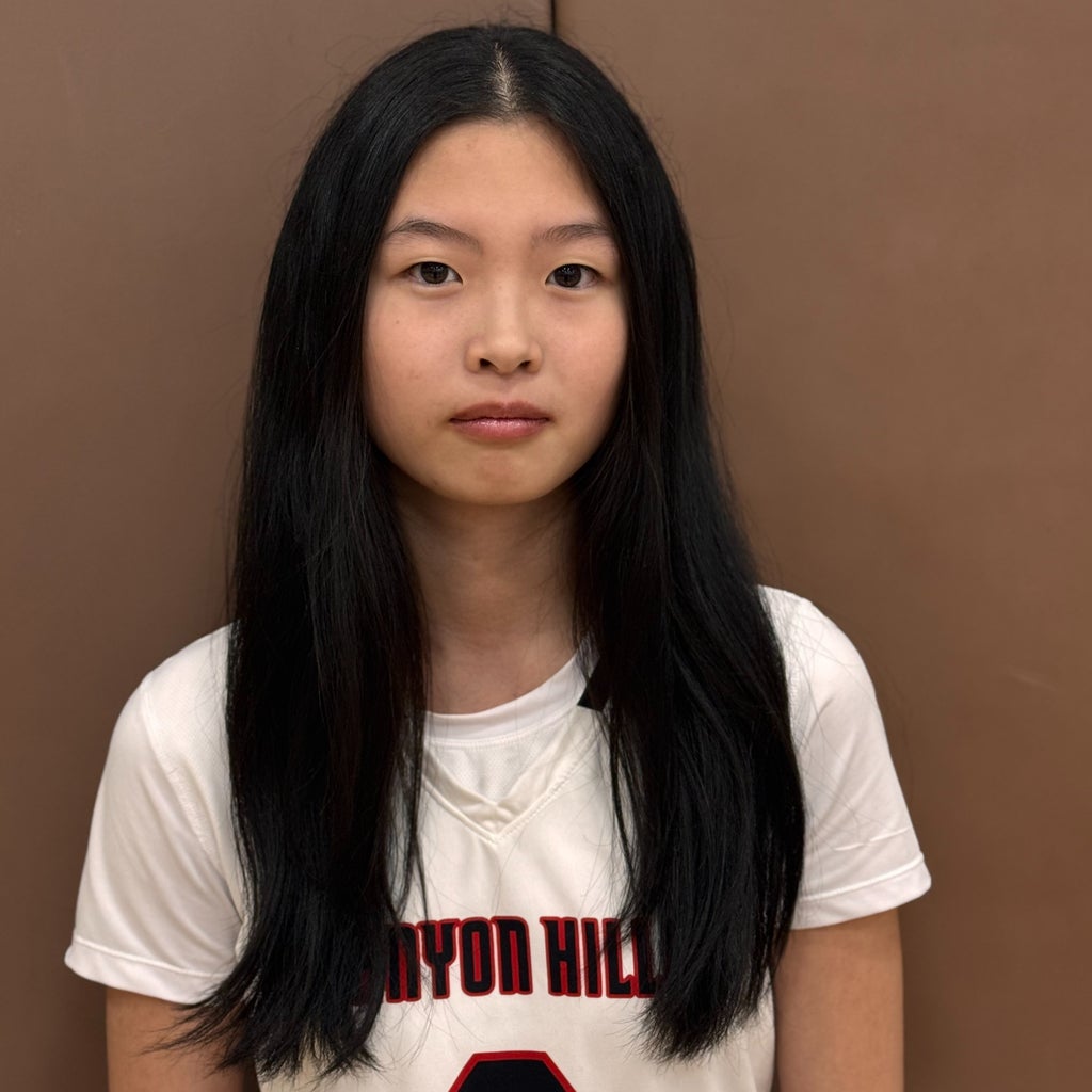 Ai ling Chan mugshot
