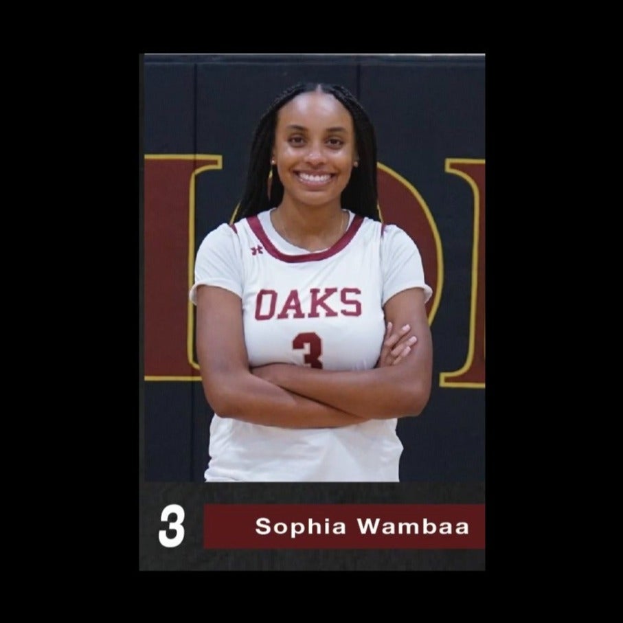 Sophia Wambaa mugshot