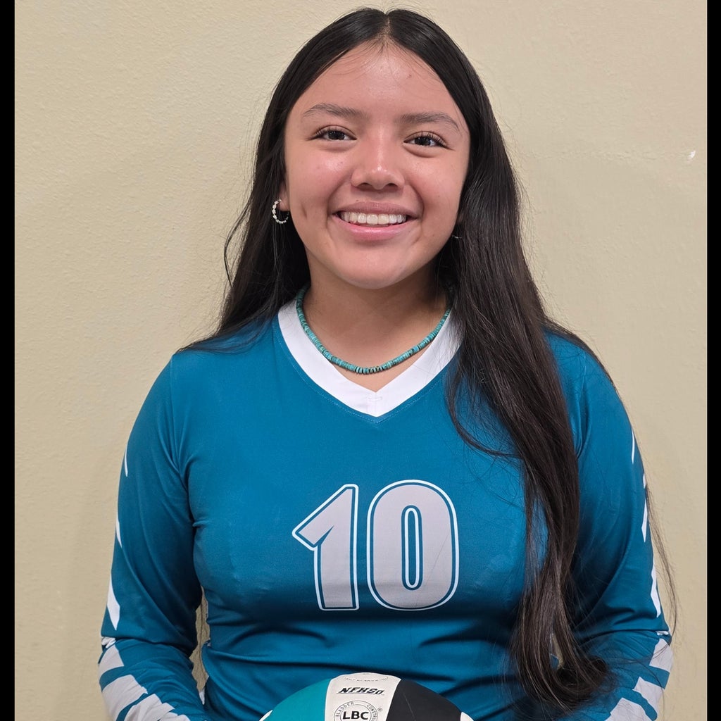 Chantel Begay mugshot