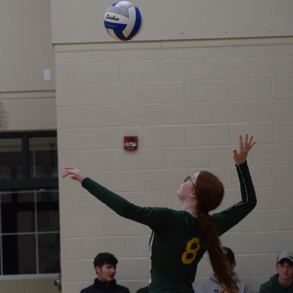 Kyndalon Springborn mugshot