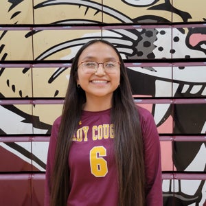 Anessa Johnson mugshot