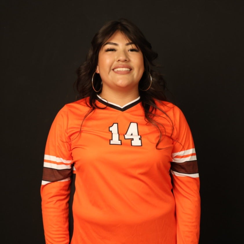 Crisstela Mendoza mugshot