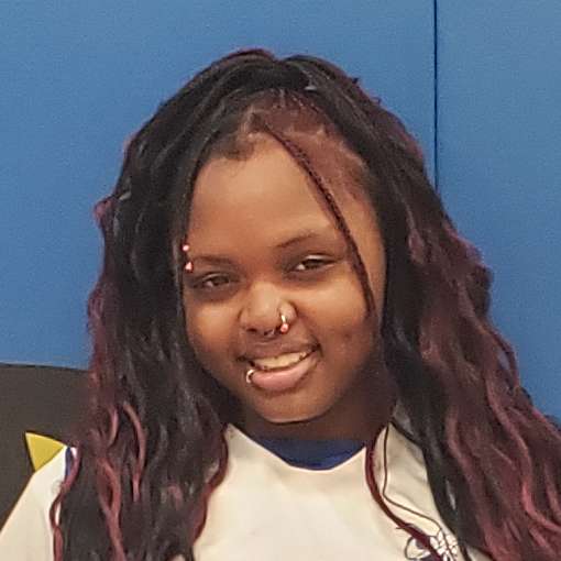 Aminata Mall mugshot