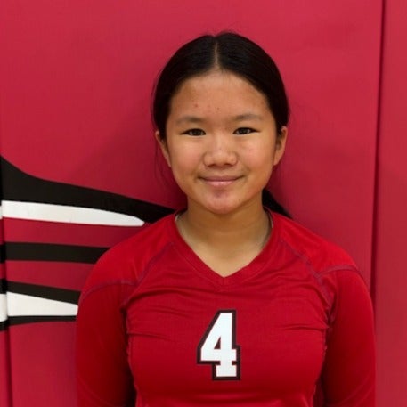 Rianza Ercolino mugshot