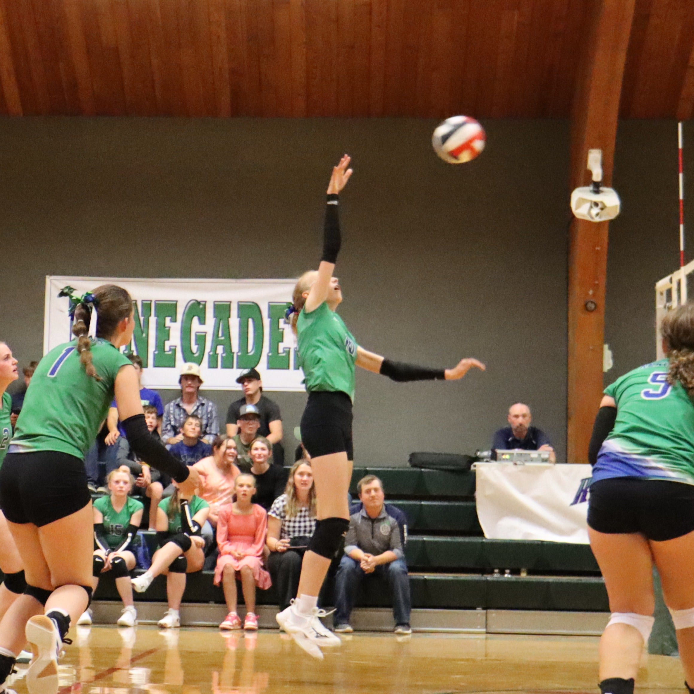 Callie Stevens mugshot