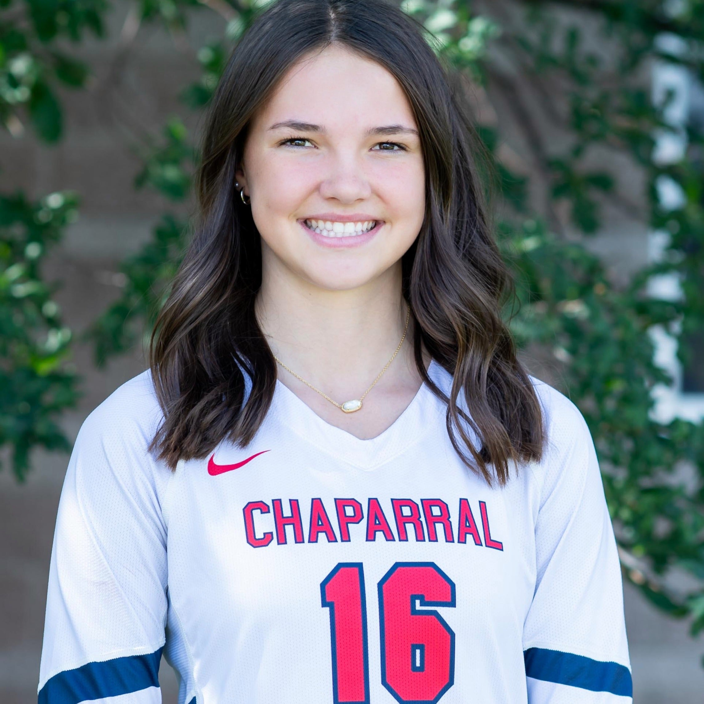 Ainsley Adams mugshot