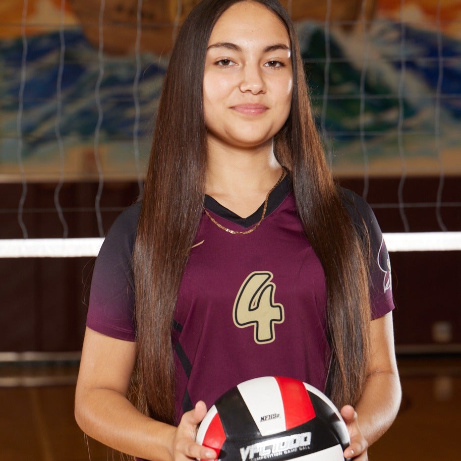 Maydelin Villagran mugshot