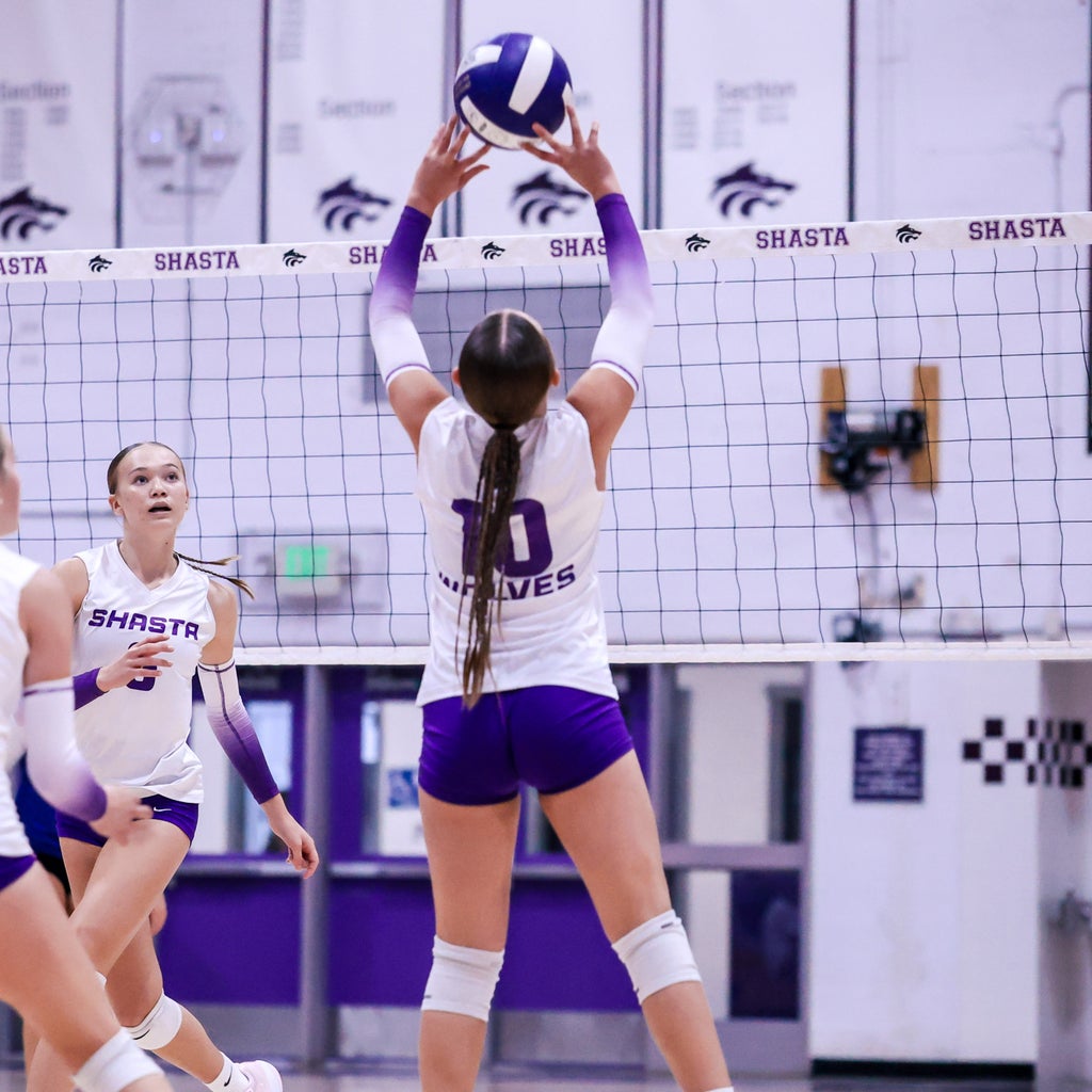 Eliana Diehl mugshot