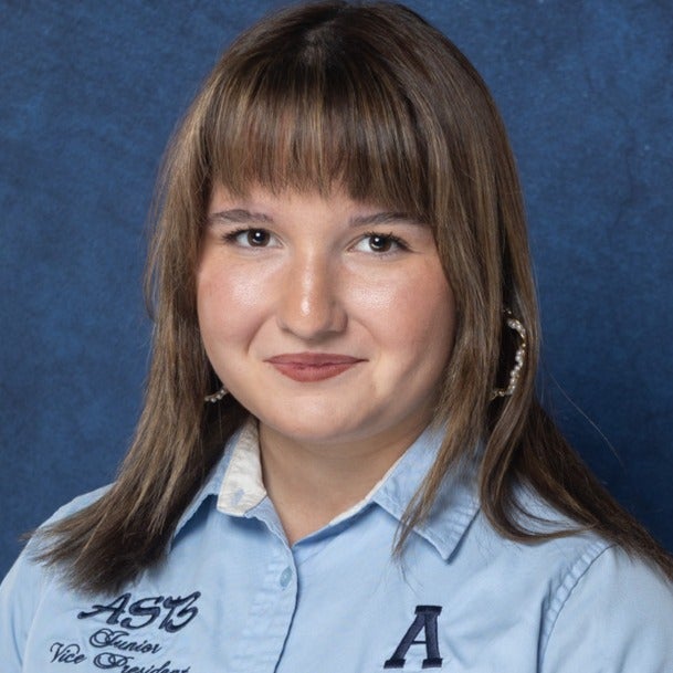 Alexis Ramirez mugshot