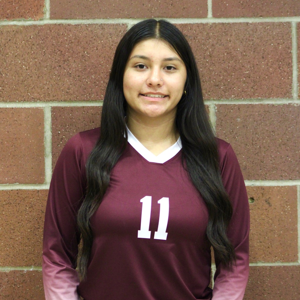 Anaya Hernandez mugshot