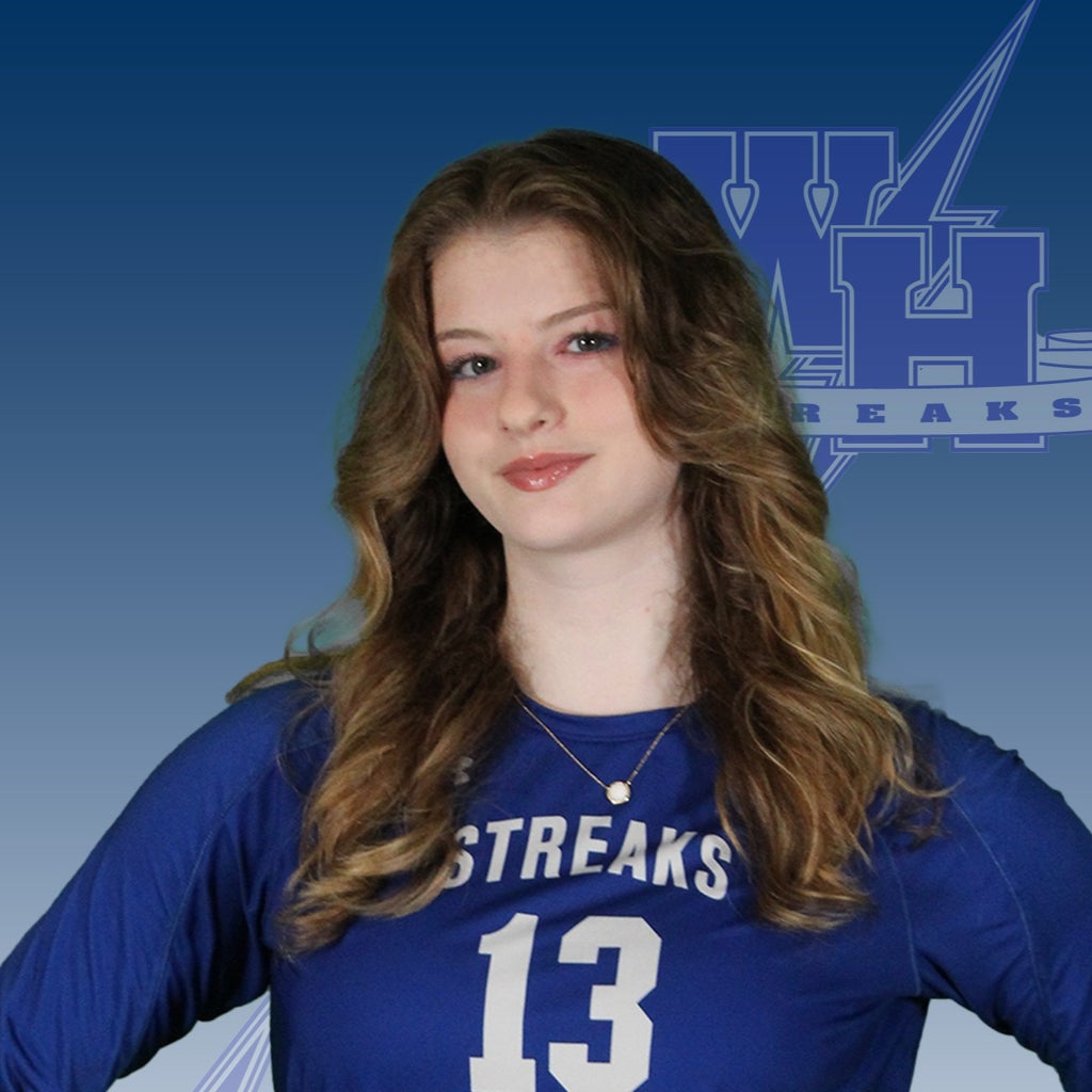 Emily Renfors mugshot