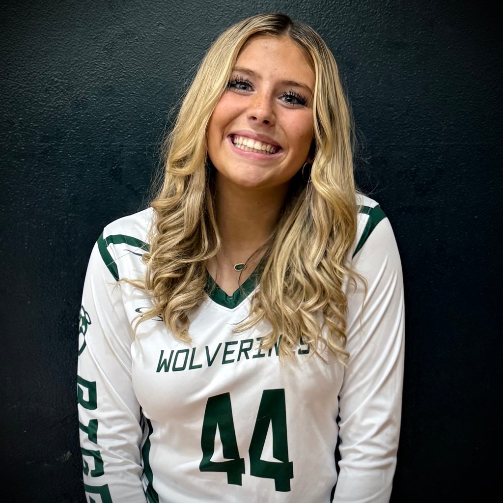 Sofia Perkins mugshot