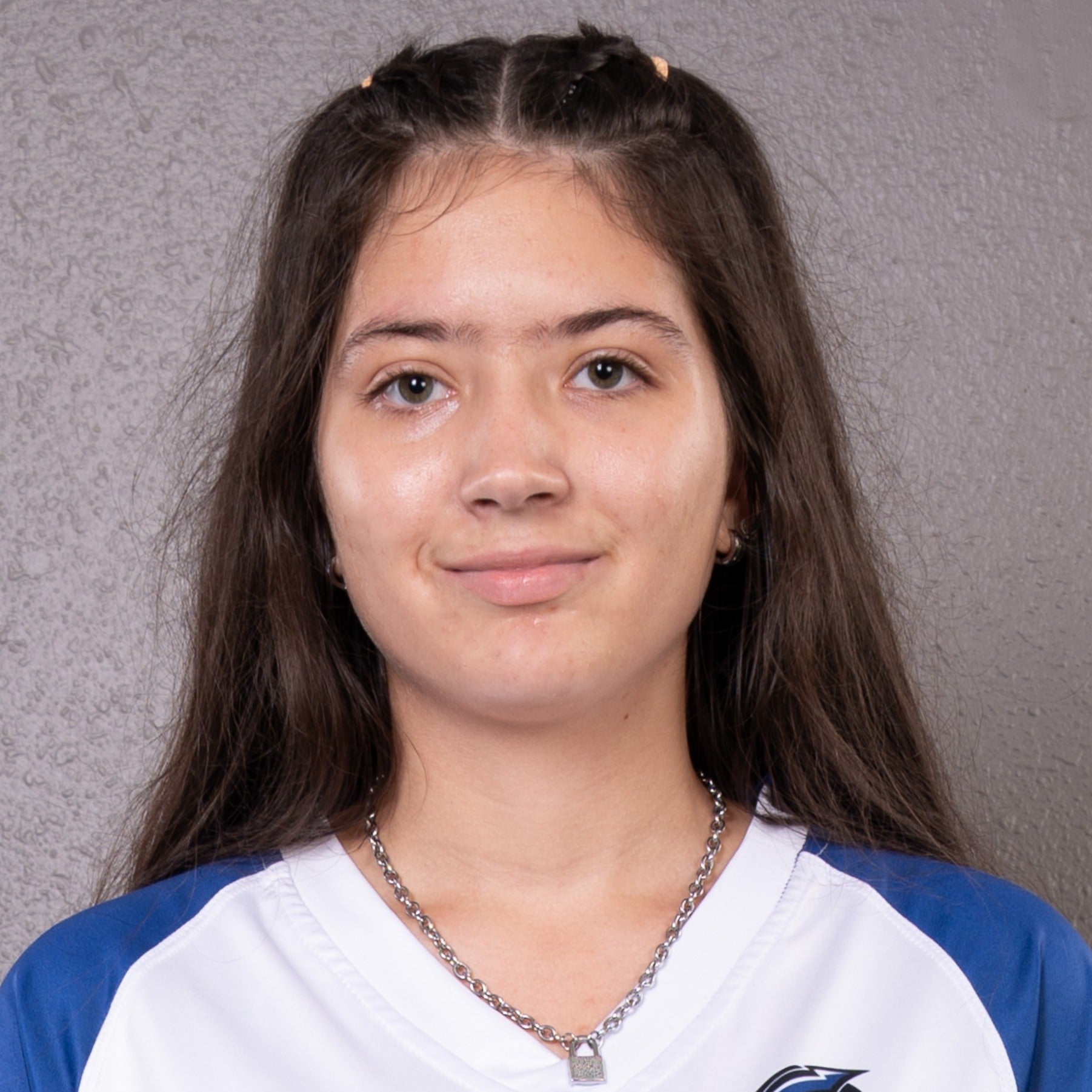 Xaidelis Figueroa mugshot