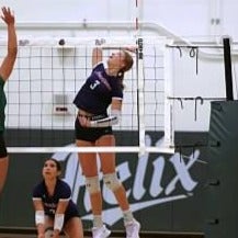 Taylor Carpenter mugshot