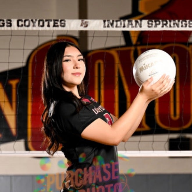 Ashley Ordonez mugshot