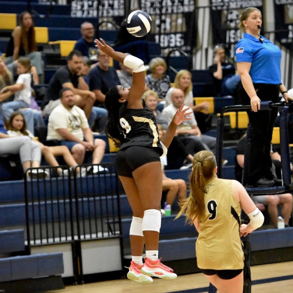 Brynn Sutton mugshot