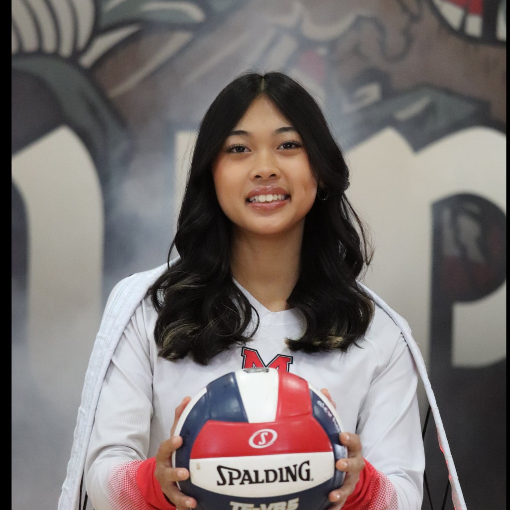 Saleah Chansombat mugshot