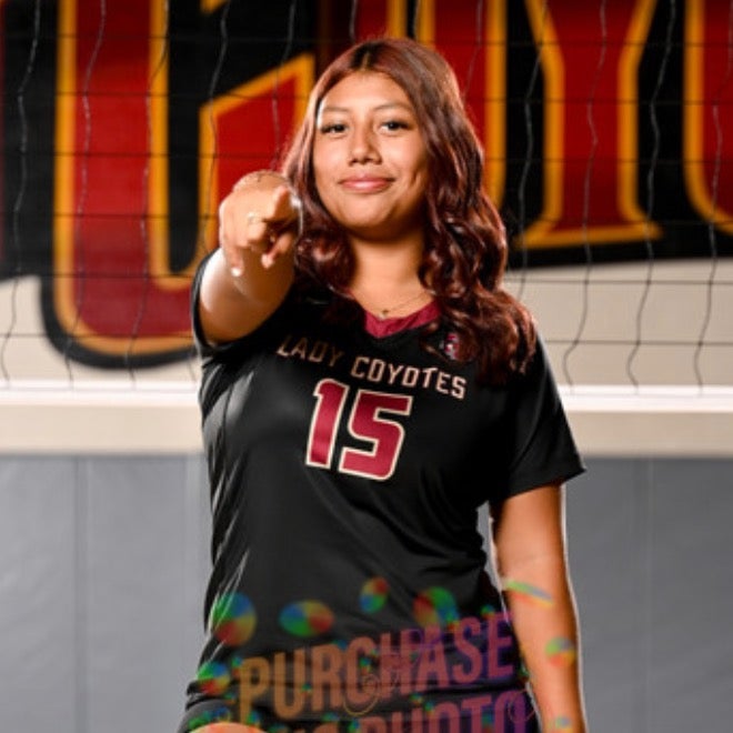 Jocelyn Rodriguez mugshot