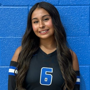 Inez Castillo mugshot