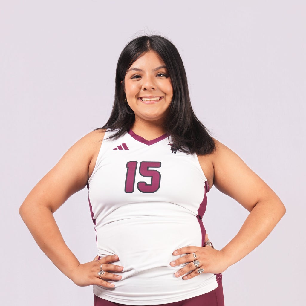 Valery Perez mugshot