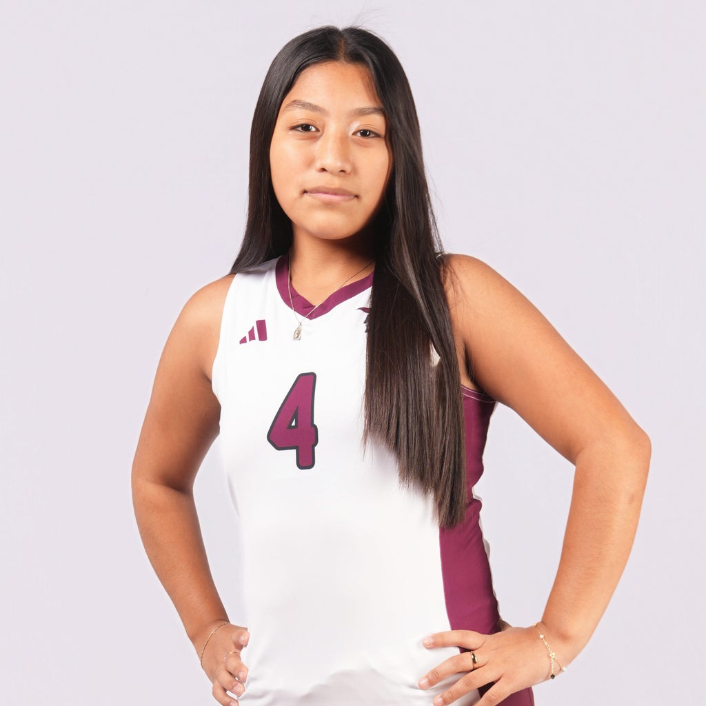 Jalene Carcamo mugshot