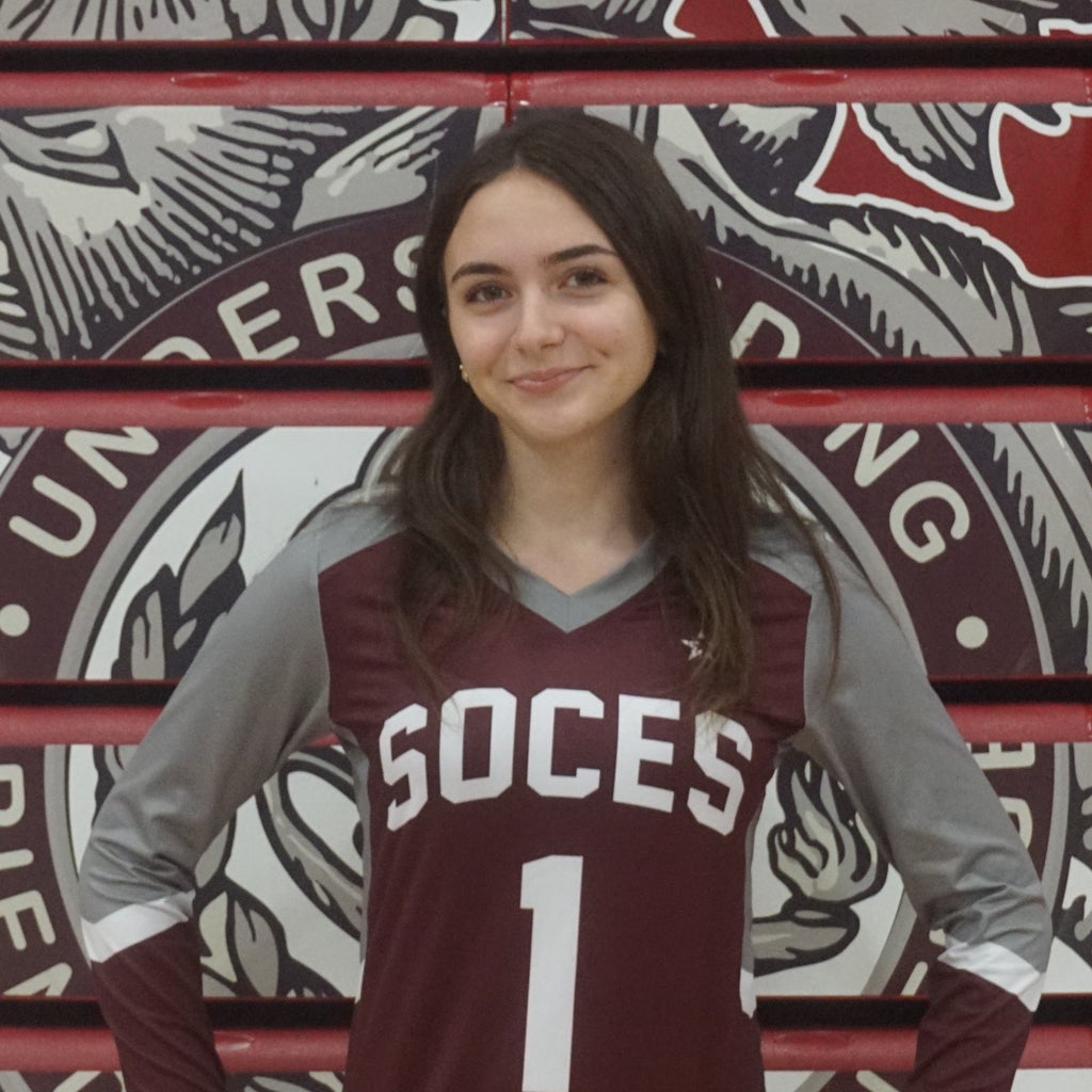 Ani Melikyan mugshot