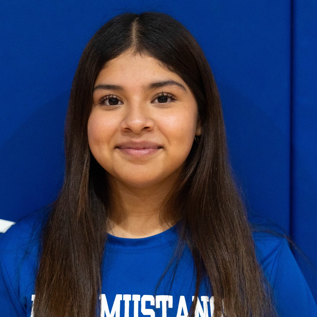 Yailyn Reyes mugshot