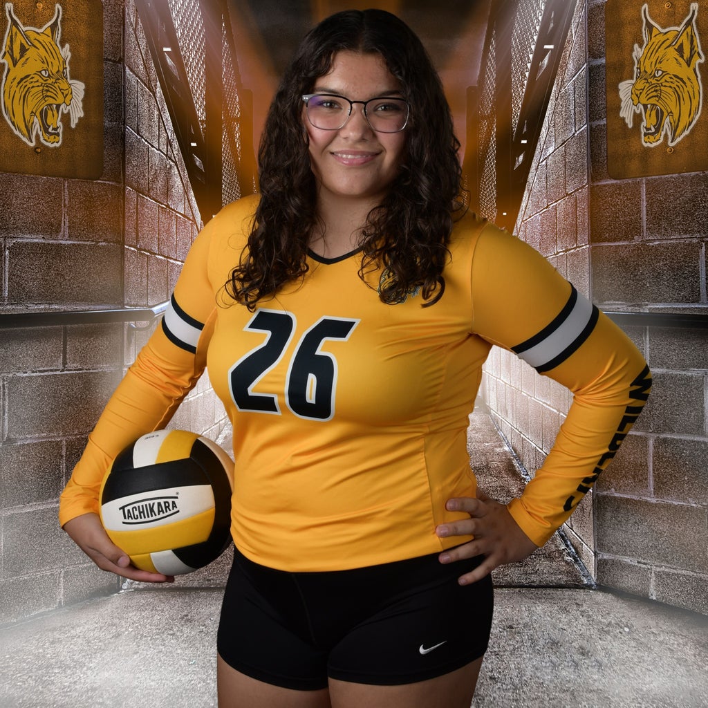 Lyndsie VanDerhoef mugshot