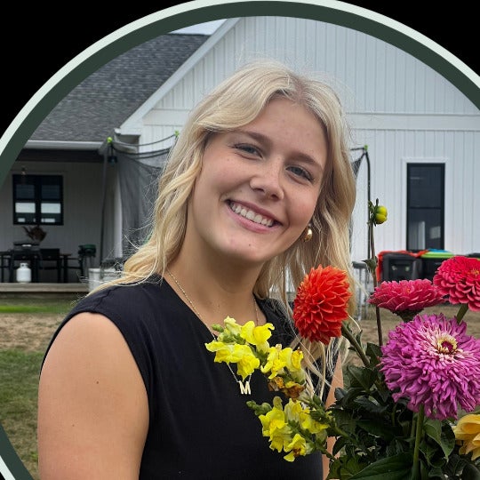 Marlee Clark mugshot