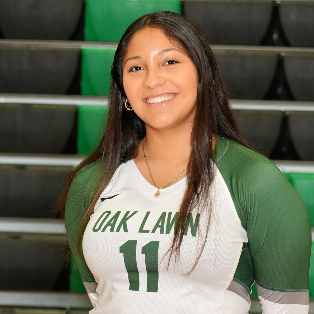 Haydee Manriquez mugshot