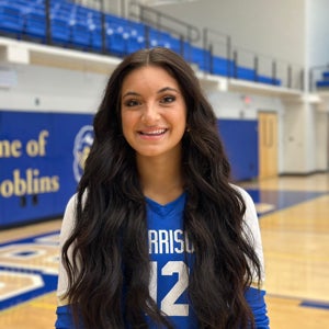 Taylor Sidani mugshot