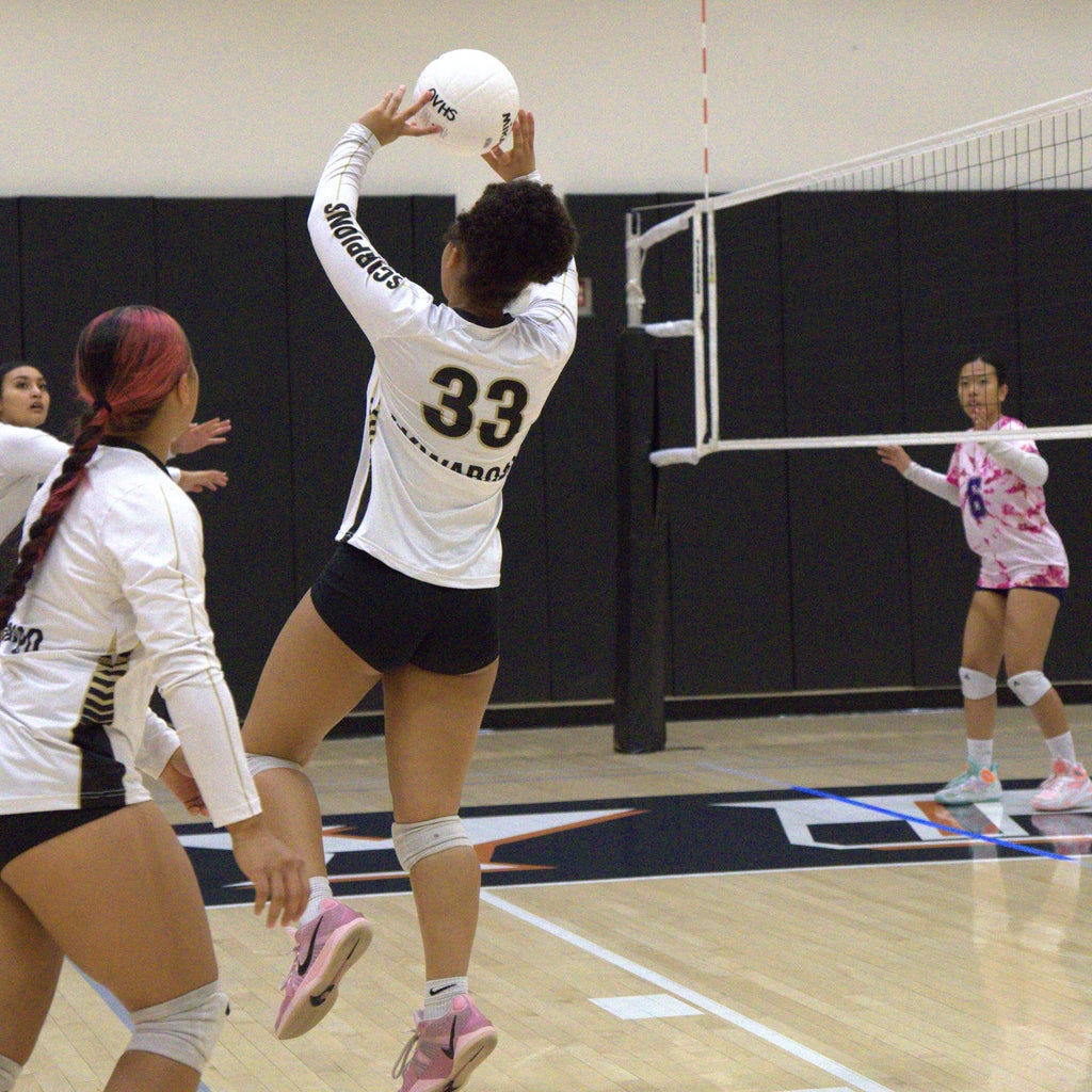 Dylanna Akwaboah mugshot