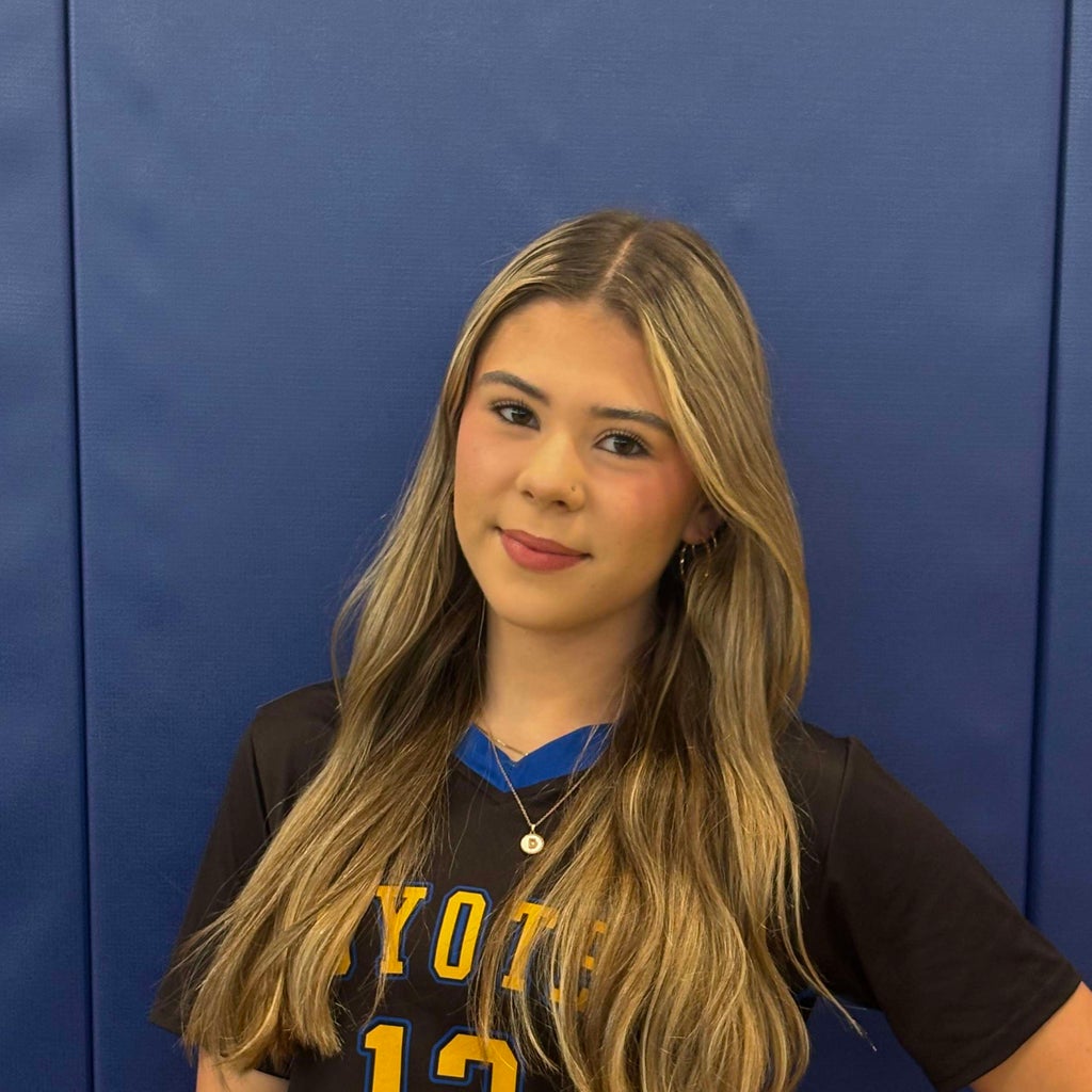 Destiny Wersonick mugshot