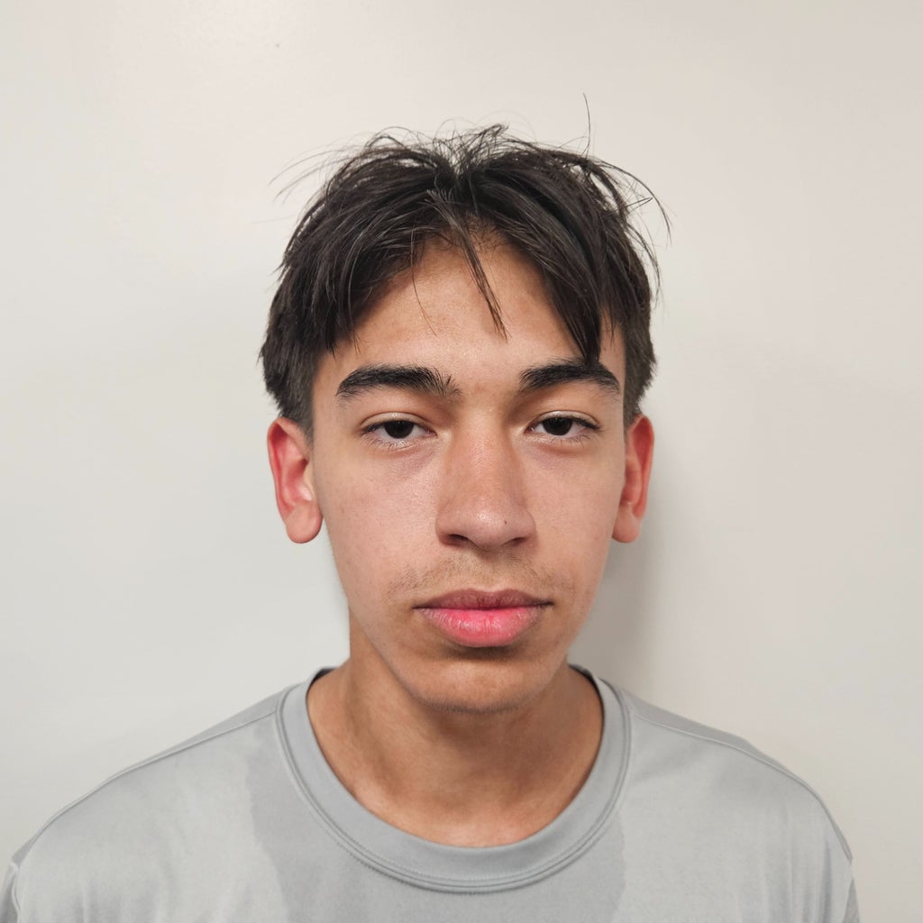 Aiden  Loyless mugshot